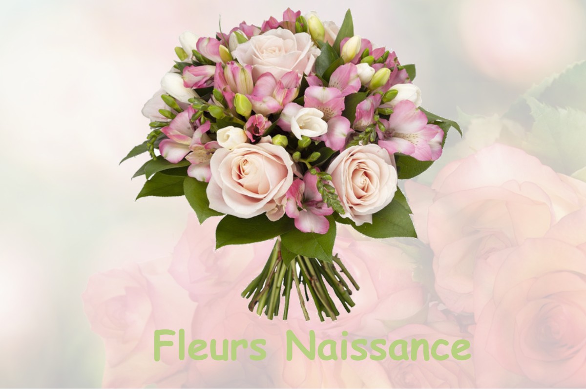 fleurs naissance CERISY-LA-FORET